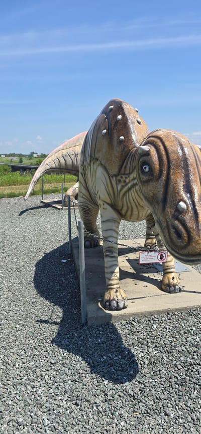 A life-sized statue of a Parasaurolophus dinosaur is situated outdoors in Saint-Léonard-d'Aston, Quebec, Canada. The dinosaur statue is a tan and brown color, with white dots on its back and head. It is standing on a concrete base, surrounded by gravel. A chain fence encloses the statue. A red sign with a hand symbol and text is attached to the fence in front of the dinosaur. In the background, a highway overpass is visible, with trees and fields stretching into the distance under a clear blue sky. The sun casts a long shadow of the dinosaur onto the gravel.