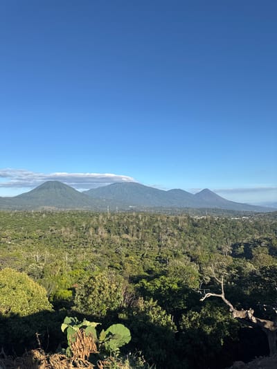 The image showcases a landscape with multiple mountain peaks receding into the distance under a clear blue sky. Lush green vegetation covers the mountains and the foreground, with a variety of trees and plants visible. A ridge provides a natural edge from which the view is captured, hinting at a high vantage point. The atmospheric perspective suggests a vast, open landscape with the mountain ranges as a dominant feature.