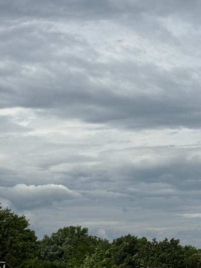 The media file shows a landscape with a cloudy sky and trees on the right side. The sky is filled with various shades of gray clouds, suggesting an overcast or partly cloudy day. The clouds appear to be moving, creating a sense of depth and texture in the sky. On the right side of the image, a dense canopy of green trees is visible, their leaves forming a rich, textured pattern. The trees appear lush and healthy, indicating a time of year with ample foliage, likely spring or summer. The lighting suggests it is daytime, though the heavy cloud cover diffuses the sunlight, creating a soft, even illumination. There are no people or specific objects that stand out, making the scene a natural landscape. The overall mood is serene and tranquil, emphasizing the natural beauty of the environment. The location context provided is Endirey, Russia, which helps to situate the scene within a specific geographical area, though no specific landmarks or cues within the image directly confirm this location. There is no visible text in the image.