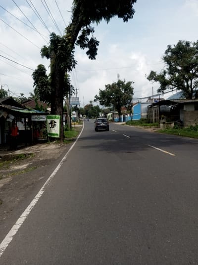 The image depicts a roadside view in Khajuripada, India, under an overcast sky. A two-lane asphalt road, featuring a solid white line on its left edge and a dashed yellow center line, recedes into the distance. A dark-colored SUV travels away from the viewer in the right lane.
On the left side of the road, a dirt shoulder borders a small, open-fronted stall with a corrugated metal roof. A person in a red shirt is partially visible within or near this stall. Adjacent to the stall, a green and white banner displaying a "JAF" logo and text is affixed to the trunk of a large, heavily foliated tree that arches over the road. Multiple utility poles carrying numerous wires line the left side of the road. Further down, buildings, including one with a blue facade, are visible amidst dense vegetation.
On the right side of the road, another rustic structure with a corrugated roof stands, fronted by a decorative stone or concrete pillar. Trees densely line both sides of the thoroughfare. In the background, a communication tower is visible against the cloudy sky. The road surface shows some darker patches.