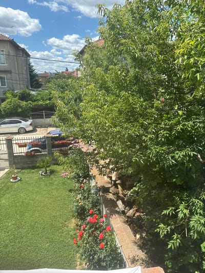 This is an eye-level, medium shot of a residential yard and street in Dolni Chiflik, Bulgaria, on a sunny day with scattered clouds. The foreground is dominated by a lush green lawn with a rose bush in bloom, featuring red and pink flowers. A low, brick wall runs along the right side of the yard, topped with a rough-hewn wooden fence. Behind the wall, a pile of cut lumber is visible.
A metal fence separates the yard from the street, where a light-colored sedan is parked. Beyond the sedan, a dark blue minivan is also parked. The street is lined with houses and trees. In the background, the sky is a bright blue with fluffy white clouds, and a single bird is visible in flight. Electrical wires are strung across the scene. The houses appear to be a mix of older, grey concrete buildings and those with red tile roofs. A glimpse of a small palm tree is visible in the yard.
