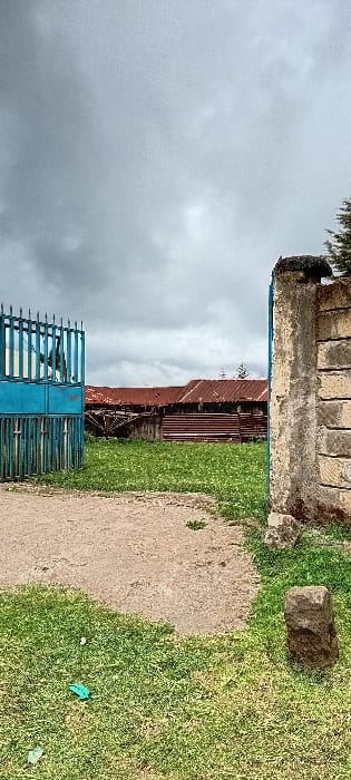 The scene depicts an outdoor area in Gatakaine, Kenya, under an overcast sky. A dirt pathway is central in the foreground, bordered by green grass. On the grass to the left, a crumpled green object and a small white cylindrical item are visible. To the right, a weathered, rough-hewn stone block is embedded in the grass.
An entrance is formed by a partially open, tall blue metal gate on the left, composed of vertical bars and horizontal supports, showing signs of wear. On the right, a substantial concrete pillar, constructed from stacked blocks and heavily weathered, stands upright.
Beyond this entrance, several structures with extensively rusted, reddish-brown corrugated iron roofs are visible. Some buildings also feature corrugated metal siding. Miscellaneous materials and debris are scattered around these structures. A coniferous tree or large bush is partially visible behind the rightmost building cluster. No individuals or active events are present in the scene.