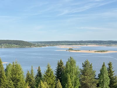 The image shows a wide view of a lake or large river in the vicinity of Elkino, Russia. The sky is light blue with scattered wispy clouds. A body of water fills much of the frame, and several low-lying, sandy islands are visible within the lake. The far shore of the lake features a band of green vegetation and some scattered buildings that suggest a settlement. In the foreground, a cluster of evergreen and deciduous trees obscures the bottom edge of the view. The trees are green and appear to be healthy. The water is calm and blue-gray in color.