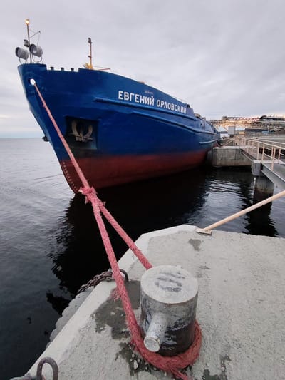 The image shows a blue and red ship named "ЕВГЕНИЙ ОРЛОВСКИЙ" (Evgeniy Orlovskiy) docked at a concrete pier. The ship is secured with a thick, reddish-pink rope tied to a cylindrical bollard on the pier. The ship appears to be a cargo vessel. A metal walkway and industrial structures are visible in the background. The location is likely Shcheleiki, Russia. The water is calm and dark. The sky is overcast.