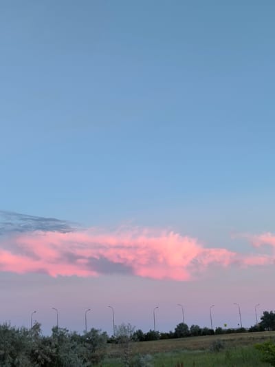 A wide shot captures a sunset with pink and blue clouds over a field and a row of streetlights in Beregovoy Rural Council, Ukraine. The sky is mostly a soft blue, with a band of vibrant pink clouds stretching horizontally across the middle of the frame. Below the clouds, a line of dark green trees and vegetation forms the horizon. Several tall, slender streetlights with curved tops are evenly spaced along the horizon line. The foreground shows a grassy field with some green foliage. No people or animals are visible. The scene is peaceful and serene, conveying the end of the day.