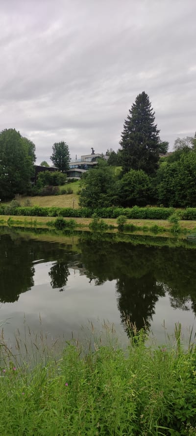 A serene waterscape features a calm body of water reflecting the overcast sky and lush greenery. The foreground is dominated by tall grasses and wildflowers bordering the water's edge, with some delicate pink blossoms visible. The water itself mirrors the trees and a modern building nestled on a grassy incline in the background.
The building appears to be a multi-story structure with large windows and a contemporary design, suggesting an office or residential space. It's surrounded by dense trees, including a prominent, tall evergreen tree that stands out against the softer foliage. The incline suggests a landscaped area, possibly part of a park or private estate.
The sky is filled with soft, grey clouds, indicating an overcast day. The lighting is diffused, casting a gentle, even light over the entire scene, and the reflections in the water are clear but softened by the cloud cover. There are no people visible in the image, and the overall mood is peaceful and tranquil. The scene likely depicts a natural setting near a developed area, possibly a business park or a residential zone that incorporates natural elements. The time of day is indeterminate due to the uniform lighting, but the cloudy conditions suggest it could be any time from late morning to late afternoon.