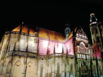 The image depicts a night view of St. Elisabeth Cathedral in Košice, Slovakia, illuminated by artificial lights. The cathedral is a Gothic masterpiece, characterized by its impressive architecture, including soaring spires, intricate stonework, and a distinctive tiled roof. The lighting casts a warm glow on the facade, highlighting the details of the structure and creating a dramatic effect against the dark night sky. The scene is devoid of people, focusing solely on the grandeur of the cathedral and its surroundings, which appear to be dark and possibly deserted at this hour. The overall impression is one of solemn beauty and historical significance.