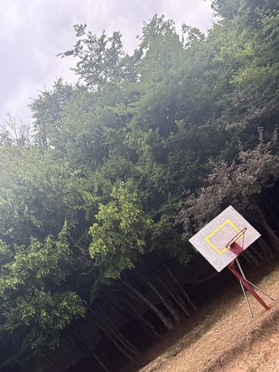 The image shows a basketball backboard and hoop positioned outdoors, with a dense forest or grove of trees in the background. The backboard is rectangular and white with a yellow square painted in the center. It is attached to a red metal stand with multiple legs, designed to be freestanding. The ground in the foreground is covered in dry grass and dirt. The sky above is overcast and cloudy, with the lighting suggesting it is daytime. The trees are lush and green, with some appearing to have darker foliage or be a different species. The scene is captured at an angle, giving a dynamic perspective. The location is not specified within the image itself, and therefore cannot be stated as being in Buriani, Georgia.