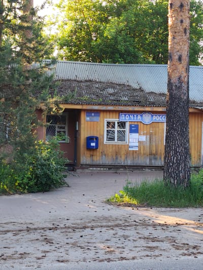 This image depicts the facade of a single-story building identified as a Russian Post office in Kratovo, Russia. The building features light brown vertical wooden siding and a corrugated metal roof, which shows signs of age and partial moss or foliage growth.

A prominent blue and white sign bearing the text "ПОЧТА РОССИИ" (Russian Post) is mounted above the main window. Below this, a smaller blue sign displays "ВТБ," indicating banking services. To the right of the main window, a blue Russian Post mailbox is affixed to the wall. The building has at least two windows with white frames and security grilles, one featuring a radial pattern. An entrance recess with a dark door is visible to the right of the mailbox.

The building is flanked by two large pine trees. A dense pine tree on the left partially obscures the left side of the facade and an adjacent window. A mature pine tree in the foreground on the right has distinctly textured bark, dark at the base and a peeling orange-brown higher up, partially obscuring the right side of the post office sign.

In front of the building, a paved pathway of light grey interlocking pavers is heavily scattered with small, dark debris, consistent with pine cones or needles. Patches of green grass and dense green bushes are visible in the foreground and to the left. Overhead, the sky is bright, and deciduous trees with green foliage are visible behind the building. Strong, golden sunlight illuminates the scene from the left, casting long shadows across the paved area, suggesting either early morning or late afternoon. No individuals are present in the frame.