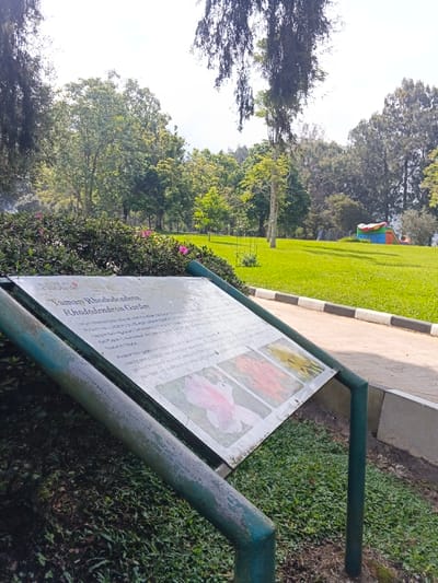 A park scene features a sign for "Taman Rhododendron Garden". The sign has information and faded pictures of flowers. Green grass and various trees fill the background. A glimpse of what may be an inflatable children's play structure is visible in the distance. A paved walkway with black and white edging runs along the edge of the grass. The sign is surrounded by greenery.