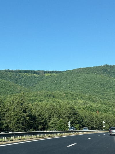 The image depicts a highway with a dark asphalt surface and white lane markings, viewed from the perspective of a moving vehicle. A metal guardrail separates the roadway from a vegetated embankment. Beyond the embankment, a dense, green forest covers rolling hills, with a clear blue sky overhead. The landscape appears to be rural, consistent with the outskirts of Dolno Varshilo, Bulgaria. Several vehicles are visible on the road, including a dark car in the foreground to the right, a dark SUV and a lighter vehicle further ahead, and another dark vehicle in the distance. Traffic signs are present along the roadside. The overall scene is a bright, sunlit day with good visibility.