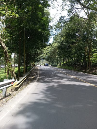 The image depicts a paved two-lane road in Boommlog, Bhutan, viewed from a low angle, looking forward along a gentle curve. The asphalt surface displays a double solid yellow centerline and a white solid line marking the shoulder on the left. Patches of sunlight and dense tree shadows are cast across the road.
To the immediate left, a galvanized metal guardrail with a white and red circular reflector is visible, bordering a dirt and sparse grass shoulder. Beyond the guardrail, a green, vegetated slope rises, populated by trees. Multiple trees with dark green foliage line the left side of the road, along with at least two utility poles.
The right side of the road is bordered by a dense stand of trees with vibrant green leaves, suggesting a wooded or forested area. The terrain on the right appears to rise slightly.
In the distance, on the right shoulder of the road, a blue vehicle, possibly an SUV or pickup truck, is stationary. Further back, a smaller, darker vehicle, likely a motorcycle or scooter, is visible on the road surface. No individuals are clearly discernible. The sky, visible through the canopy of trees, appears bright, indicating daytime conditions.