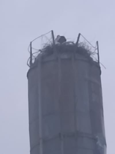 A tall, cylindrical concrete structure, likely a chimney or silo, is topped with a metal railing containing a large bird nest. The nest appears to be made of sticks and straw. The sky is overcast and grey. This scene is likely in the city of Sabir Rakhimov, Uzbekistan.