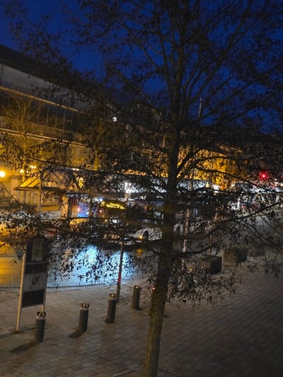 The image depicts an urban street scene at night in Zweibrücken, Germany. A large deciduous tree with dark, sparse foliage occupies the central foreground and midground, silhouetted against background illumination. The ground consists of light-colored pavers. Four dark, cylindrical bollards with illuminated or reflective tops are arranged in a diagonal line across the midground, with a light-colored pole supporting a dark, rectangular sign to their left. In the background, a multi-story building with a reflective or glass facade is brightly lit from within, displaying numerous illuminated windows. Reflections of these lights, along with warm yellow streetlights, are visible on a wet or reflective surface in the midground. A large vehicle, possibly a bus, with illuminated windows and a bright yellow light, is partially visible behind the tree on the left. A faint red light, consistent with a traffic signal, is discernible in the upper right background through the tree branches. The sky is a deep blue, characteristic of nighttime. No individuals are present in the scene.