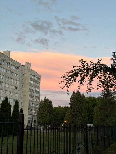 The image depicts an apartment building in Semiluki, Russia, against a backdrop of a pastel sky with soft clouds tinged with pink and orange. A dark metal fence runs across the foreground, with a patch of green grass visible behind it. Several evergreen trees of varying heights are scattered around the building and behind the fence, interspersed with deciduous trees. The building itself is light-colored and appears to be residential, with numerous windows and balconies. In the middle distance, a street light with an orange glow is visible. The overall scene suggests an urban or suburban environment during either sunrise or sunset.