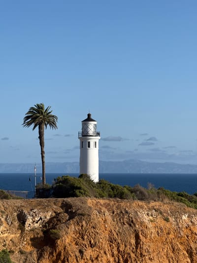 The image depicts the Point Vicente Lighthouse located in Rancho Palos Verdes, California, USA. The white lighthouse stands prominently against a clear blue sky with the Pacific Ocean visible in the background. A palm tree grows nearby, adding a coastal element to the scene. The landscape includes a cliff with vegetation clinging to the edge. The light from the lamp is visible at the top of the lighthouse.