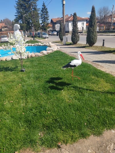The image depicts a sunlit outdoor scene in Nevestino, Bulgaria. The foreground consists of a vibrant green lawn. On this lawn, slightly right of center, stands a white and black stork figurine with a red beak and orange-red legs, casting a distinct shadow to its left. To the left of the lawn, a small, light blue water basin, surrounded by irregular light-colored stones, is visible. Adjacent to the basin, a small ornamental tree with white blossoms is planted in a black container. Behind this tree, a light-colored, possibly white, abstract sculpture is partially visible. A light-colored paved sidewalk borders the lawn on the right, extending into the midground. Beyond the sidewalk lies a paved road with several stationary vehicles, including a silver sedan and a white sedan. The roadside is lined with tall, slender evergreen trees and deciduous trees, some with early foliage. In the background, residential buildings with red-tiled roofs and light-colored facades are visible under a clear blue sky. Utility infrastructure, including a utility pole with overhead wires, a lamppost, and dark bollards, are present along the road. No individuals are depicted in the scene.