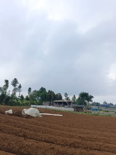 A landscape featuring a dark, plowed field in the foreground, its furrows creating a textured pattern. Behind the field are various plants and trees, obscuring a building with concrete and wood elements under an overcast sky. The scene is enveloped in a dull, muted light from the cloudy sky above, indicating an overcast day. Wrapped items are in the field.