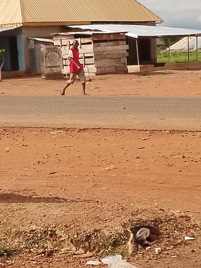 A person walks on a paved road in front of a building complex. The person is wearing a red vest over a white shirt and tan shorts, with sandals on their feet. They are walking from left to right. The building complex consists of structures with corrugated metal roofs, one with a light yellow roof and another with a white roof. There is a concrete monument with text on it near the building. The ground in front of the building is unpaved and appears to be dirt and gravel. The road is a paved asphalt surface. The overall environment appears to be a rural or semi-urban setting in Ichol, Nigeria.