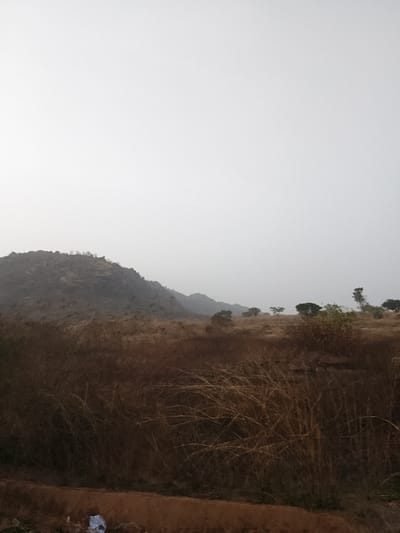 The image depicts a static, outdoor landscape scene in Mangu Halle, Nigeria, under a hazy, light grey sky. The foreground features a reddish-brown dirt path or verge spanning the bottom of the frame, upon which a crumpled white object, possibly paper or plastic refuse, rests in the lower left quadrant. Above this, a dense accumulation of dry, brown, fibrous vegetation occupies the immediate mid-ground, extending across the width of the frame.
Further into the scene, an expansive field of lighter brown, dried grasses and sparse vegetation stretches towards the background. Scattered within this field are several small trees and shrubs, some retaining green foliage, particularly on the right side. On the left mid-ground, a dark-colored utility pole with visible power lines rises vertically, positioned in front of a prominent rocky hill.
The background is dominated by a large, dark, rugged hill or mountain range, sparsely covered with dry vegetation, occupying the left half of the horizon line. Additional, fainter hills are visible further to the right and deeper in the background, obscured by atmospheric haze. The upper two-fifths of the image consist of a uniform, pale grey to white sky, indicative of an overcast or hazy condition, blending with the distant topography. No human subjects, animals, or specific actions are depicted within the scene.