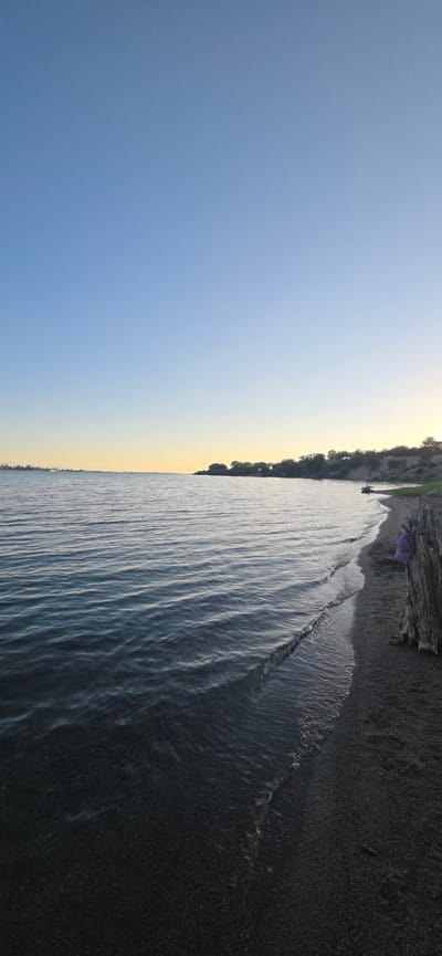 The image depicts a serene lakefront scene with a clear blue sky. The water, with gentle ripples, extends towards a distant shoreline lined with trees. The beach is composed of dark sand, with a weathered piece of driftwood prominent in the foreground on the right. A small, purple object, possibly a hat, is attached to the driftwood. In the middle ground, a person is seated on the sand. The overall atmosphere is calm and natural. The location is identified as Issyk-Kul, Kyrgyzstan.