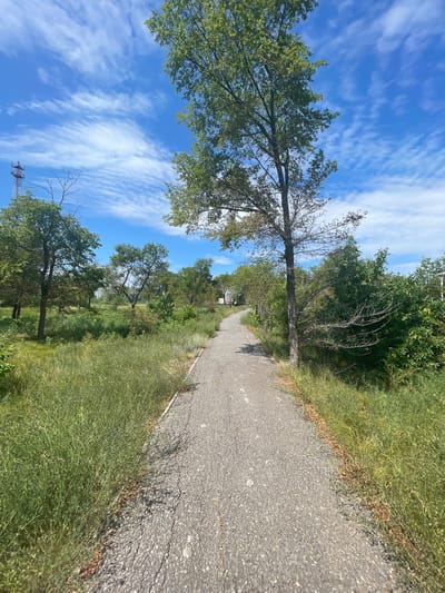 An asphalt pathway, cracked and weathered, curves through a green, overgrown landscape under a bright blue sky dotted with wispy white clouds. Tall trees with lush green foliage line the path, their branches reaching towards the sky. The pathway appears to be in a park or undeveloped area, with tall grass and wild vegetation encroaching on its edges. In the distance, a communication tower with red accents is visible, and beyond that, faint structures suggest the presence of a city. The overall scene depicts a natural setting within an urban environment, likely in Znamensk, Russia, given the context.