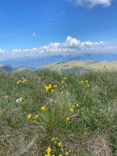 A medium shot captures a grassy mountain slope dotted with small yellow wildflowers under a bright blue sky with scattered white clouds. The foreground is dominated by lush green grass and dry stalks, with several clusters of yellow flowers visible. In the middle ground, rolling green hills stretch into the distance, and beyond them, a range of blue-hued mountains forms the backdrop. The sky is expansive and clear, with a thin contrail from an airplane visible in the upper left quadrant. The scene appears to be a natural landscape, likely in the Italian Alps, given the context provided regarding Santa Cristina Gherdëina. There are no people or discernible structures in the image.