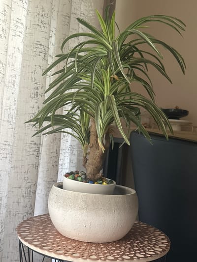 An indoor scene features a potted plant with long, slender green and white striped leaves. The plant is in a white ceramic pot, which is placed inside a larger, textured, light-colored bowl-shaped planter. The planter is adorned with colorful glass marbles on top of the soil. The planter sits on a round side table with a decorative, perforated copper-colored mat. Behind the plant, sheer white curtains with a subtle gray pattern are visible. The background includes a dark chair and a blurred wall. There are no people or animals in the image. The image does not contain any specific landmarks or indicators that would allow for its location to be identified as Villeurbanne, France.