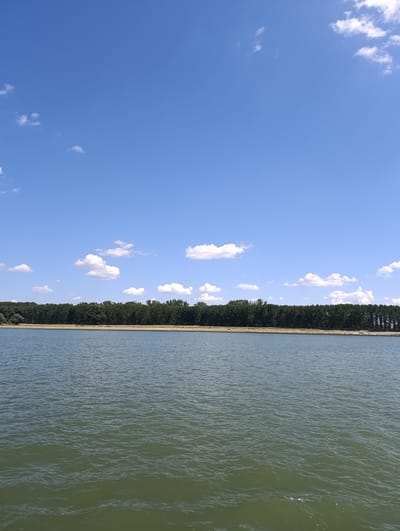The image shows a wide, calm body of water, likely a river or lake, with a dense line of trees forming the distant shore. The sky is a clear blue, dotted with a few white, fluffy clouds. The water is greenish-gray and reflects the sky and trees. There are no people or animals visible in the foreground. The overall impression is one of natural tranquility. This scene is consistent with views along the Danube River in Galați, Romania, particularly in areas with undeveloped riverbanks lined with vegetation.