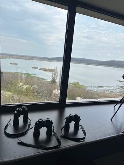 View from inside a building, looking out through a window at a landscape with water, trees, and land. On the windowsill are three pairs of binoculars. The scene likely depicts the Srebarna Nature Reserve in Bulgaria, as the landscape suggests a wetland environment with a lake or river, and the presence of binoculars implies wildlife observation. A tripod is partially visible at the top.