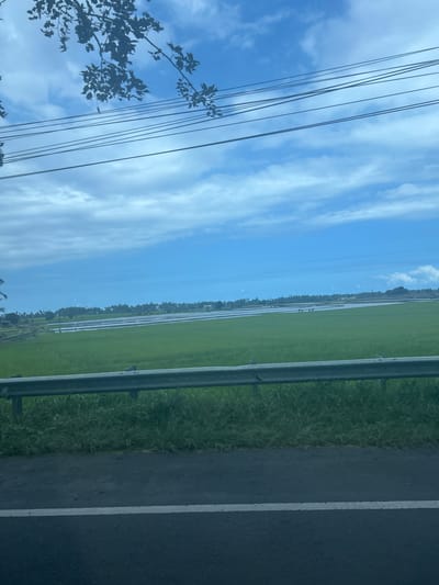 A wide shot captures a rural landscape in Bonto Manai, Indonesia, under a partially cloudy sky. In the foreground, a metallic guardrail runs horizontally across the image, separating a grassy verge from a dark asphalt road with a white line. Beyond the guardrail, expansive green rice paddies stretch towards a treeline in the distance. Some of the paddies are flooded, reflecting the sky. Several figures, appearing to be individuals, are visible working or walking within the rice fields, though their features are indistinct. The scene suggests agricultural activity in a tranquil, open setting.