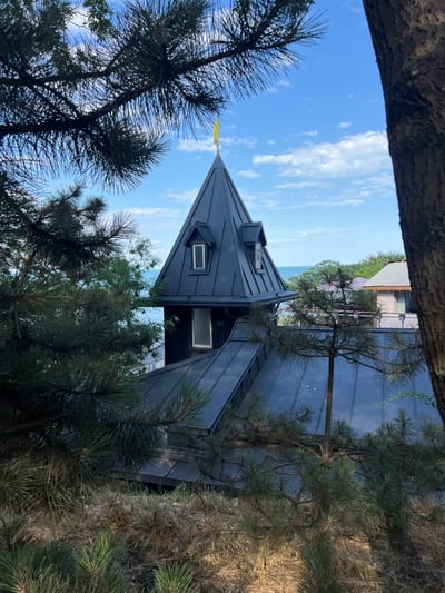 A dark gray, steeply pitched roof with two small, dormer windows and a sharp, pointed spire topped with a yellow flag dominates the center of the frame. The roof is partially obscured by the branches of pine trees in the foreground. Beyond the roof, a body of water, likely the sea, is visible under a bright blue sky with scattered white clouds. In the background, to the right of the spire, is a lighter-colored building with a corrugated metal roof. The image appears to be taken from a slightly elevated position, looking down towards the buildings and water. The environment is natural, with dense foliage and dry grass visible at the bottom of the frame.