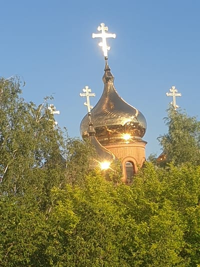A photograph captures the golden dome of a church, topped with a cross, peeking through lush green trees under a clear blue sky. The dome is illuminated by sunlight, reflecting the golden color vividly. Three other crosses, also topped with crosses, are visible, one to the left of the main dome and two to the right. One cross is situated to the far left, seemingly emerging from the foliage, and another is positioned higher and to the right, partially obscured by leaves. The main dome has a circular window with an arched opening. The overall scene is one of serenity and architectural beauty, set against a natural backdrop. The photograph is believed to have been taken in the city of Obukhiv, Ukraine, likely depicting the Holy Transfiguration Cathedral.