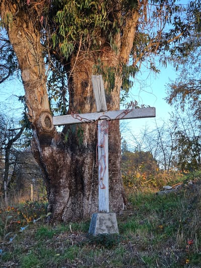 A landscape photo depicts a wooden cross attached to a fallen tree trunk. The cross is made of unpainted wood, and a rusty chain is looped around the intersection of the vertical and horizontal beams. The weathered tree trunk shows significant decay and damage. The surrounding area is grassy, with trees and foliage visible in the background and overhead. The sky is a light blue. The scene is located in Villarrica, Chile.