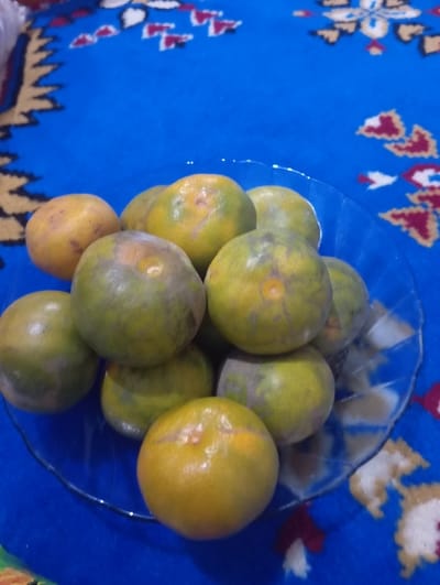 A clear glass bowl with a scalloped rim, holding approximately 12 to 15 oranges, rests on a deep blue patterned rug. The oranges exhibit varied skin tones, ranging from green with yellow patches to more uniform orange hues, and some display minor surface blemishes. The rug features distinct patterns in white, red, and brown, depicting geometric and possibly floral motifs. The scene is static, devoid of people, actions, or interactions, and is located in Pasuruan, Indonesia.