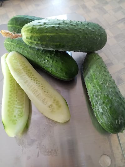 The image displays a collection of cucumbers on a metallic surface, likely a countertop. There are four whole cucumbers and two halves of a cucumber. The whole cucumbers are dark green and bumpy, with some showing a light yellowing near the stem. The cucumber halves reveal their pale green flesh and seed structure. The surface they rest on is reflective and shows some water marks. The background is blurred, but suggests a tiled or patterned surface, typical of indoor settings. There is no indication of a specific location within Vilyuysk, Russia.