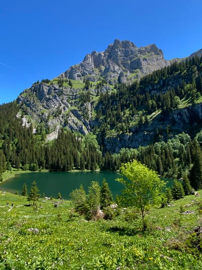 The image shows a serene mountain landscape with a clear blue sky. In the foreground, a vibrant green meadow is dotted with wildflowers. A tranquil, dark green lake is visible in the middle ground, bordered by a dense forest of evergreen trees. Behind the lake and forest, a rugged, rocky mountain peak dominates the background, with patches of green vegetation clinging to its slopes. Several individuals are scattered across the meadow and near the lake, some walking, others relaxing. The scene is bathed in bright sunlight, suggesting a pleasant day. The overall impression is one of natural beauty and peacefulness. This location appears to be near the town of Brienz in the canton of Bern, Switzerland, known for its picturesque lakes and mountains.