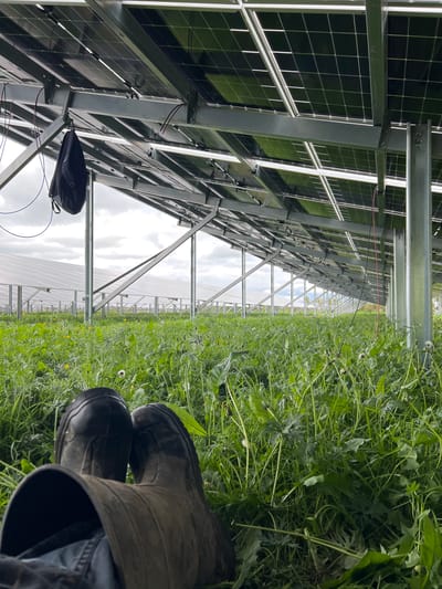 The image depicts a ground-level view taken underneath solar panels within what appears to be an agricultural setting, likely in Grange Ville, Ireland. The panels are mounted on a metallic support structure, showing wiring and junction boxes. The ground beneath the panels is covered in dense green vegetation, including various types of grasses and broadleaf weeds. A pair of dark, possibly rubber, boots are visible in the lower right corner of the frame, suggesting the presence of a person operating in this environment. The background shows a continuation of the solar panel array stretching into the distance under an overcast sky. The overall scene conveys a setting where solar energy generation coexists with agricultural land use.
