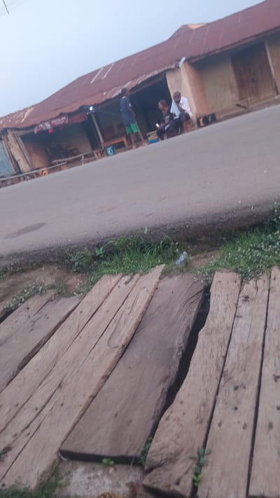 The image depicts a scene in Donga, Nigeria, with a focus on a row of shops with corrugated iron roofs along a paved road. In front of one of the shops, three individuals are visible. One is a young male standing, wearing a blue shirt and green shorts. Two other individuals, appearing to be adults, are seated. One is wearing a white shirt and dark trousers, and the other is wearing dark clothing. They are positioned near the entrance of the shop, where goods are displayed. The foreground of the image features a wooden walkway or bridge made of rough-hewn planks, partially covering a drainage or ditch. Grass and small plants grow along the edge of the road and beneath the wooden structure. The overall impression is one of a typical roadside market or commercial area in a town.
