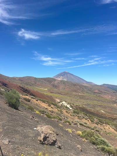 The image depicts a volcanic landscape with Mount Teide in the background. The foreground is characterized by dark, rocky terrain with sparse vegetation, including low-lying bushes and scattered rocks. The middle ground features rolling hills with reddish-brown soil, interspersed with patches of green scrub and some yellow wildflowers. In the distance, the conical shape of Mount Teide, a dormant volcano, dominates the horizon, its summit slightly obscured by a wispy white cloud. The sky is a vibrant blue with thin, feathery clouds scattered across it. The scene appears to be a daytime shot, under clear skies. The location is identified as being within the municipality of La Orotava, Spain, which is home to a significant portion of Teide National Park. There are no people or man-made structures visible in the image, emphasizing the natural, rugged environment.