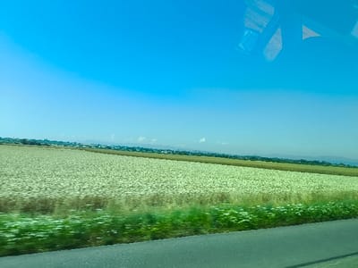 A bright, clear blue sky dominates the view above a rural landscape. A large field, possibly cotton, stretches across the middle ground. A line of trees or dense vegetation separates the field from what appears to be a distant town or settlement. The scene is likely taken from a moving vehicle, indicated by the blurred foreground and reflection in the window.