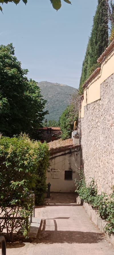 The image depicts a narrow pedestrian pathway leading towards a distant hill under a clear sky. On the right, a textured stone wall of a building is visible, topped with a decorative roof tile border and a yellow facade. Green cypress trees line the top of this wall. On the left, a large, leafy green tree partially obstructs the view, with a dense green hedge in the foreground. The pathway itself is paved with a ribbed texture and casts shadows from unseen objects. In the mid-ground, a small, aged building with a tiled roof is visible, featuring a small, dark-paned window and some exterior wiring. A metallic post is located near the hedge on the left. The distant background features a large, green, tree-covered hill. This scene is likely located in San Lorenzo de El Escorial, Spain, given the architectural style and vegetation often found in the region.