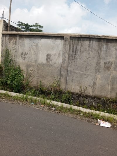 The image depicts an outdoor scene in Cibodas, Indonesia, featuring a weathered concrete wall, a roadway, and surrounding vegetation under a cloudy sky. In the foreground, an asphalt road surface occupies the lower left. A light-colored concrete curb runs parallel to the road, separating it from a narrow strip of ground. This strip contains a shallow ditch with dark soil, green grass, and various weeds and plants. On the right side of the curb, a crumpled piece of white and colored litter is visible on the ground.

The dominant feature in the midground is a tall, light gray concrete wall, constructed from multiple panels and capped with a horizontal concrete beam. The wall exhibits signs of aging, including cracks, discoloration, and dark vertical streaks. Several distinct, dark handprint-like smudges are visible on its surface, particularly on the left and right panels. Dense green foliage, including taller weeds and small shrubs, grows against the base of the wall on the left.

Above the wall, the sky is partly cloudy with patches of blue and white cumulus clouds. A wooden utility pole extends upward from behind the wall on the far left. Thin black utility wires traverse the upper portion of the frame. The tops of green trees are visible above the wall on the left, suggesting further vegetation or structures beyond. No people or animals are present, and no active interactions or actions are depicted.