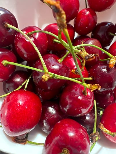 A close-up, overhead shot captures a pile of fresh, deep red cherries, some glistening with water droplets. The cherries are of various sizes and shapes, some with short stems attached. The background is a plain white surface, possibly a bowl. The lighting is bright, creating highlights on the glossy skins of the fruit. The image shows no people, animals, or any indication of a city location.