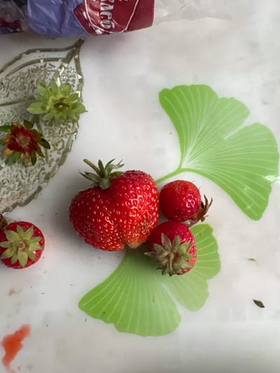A close-up, overhead shot shows several ripe strawberries on a white surface with a decorative green leaf pattern. To the left, a strawberry with its green stem and leaves intact sits near a detached, slightly wilted strawberry top. A larger, heart-shaped strawberry is positioned centrally, with two smaller strawberries below and to its right. A splash of red liquid, possibly juice, is visible in the bottom left corner. A partially visible purple and red plastic bag is in the upper left portion of the frame. The scene is indoors, on a white, patterned surface, possibly a plate or tray. There are no people present, and the image appears to be a still life composition. The specific location within Siniy Gay, Russia, is not discernible from the image.