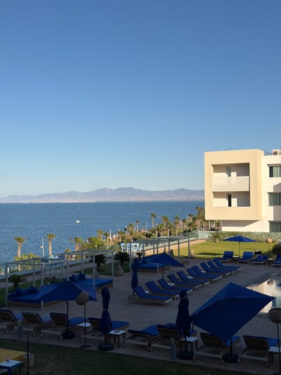The image depicts a coastal scene likely in Nador, Morocco, featuring a modern beachfront resort. A tan-colored building with a prominent architectural design faces the sea. Rows of blue beach umbrellas and lounge chairs are arranged neatly on a concrete terrace adjacent to the building, suggesting a well-maintained beach club or resort area. Palm trees are scattered along the coastline. In the background, a mountain range stretches along the horizon, separating the water from the land. A clear blue sky occupies a significant portion of the image, indicating a sunny day. The turquoise water and a couple of small boats add to the coastal ambiance. No people are directly visible in the scene.