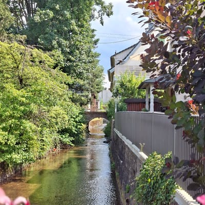 The image depicts a quaint canal scene in Baden-Baden, Germany, bathed in the warm light of what appears to be a sunny afternoon. The orientation is vertical, with the canal flowing from bottom to top. Lush green foliage dominates the foreground, with dense trees and bushes lining both sides of the waterway. A white house with a grey, corrugated roof and dark wooden accents is visible on the left, partially obscured by the branches of a tree with dark purple and green leaves.
The canal itself is bordered by a textured stone wall on the right, which is also covered in vibrant green ivy. The water is a shimmering, reflective surface, with ripples creating patterns of light and shadow. In the distance, a small, arched stone bridge crosses the canal, adding a touch of old-world charm to the scene. The architecture suggests a European setting, consistent with the location context of Baden-Baden.
There are no people visible in the image. The overall atmosphere is peaceful and serene, evoking a sense of tranquility and natural beauty. The sunlight suggests it is daytime, likely late morning or afternoon. The clear sky, visible through the tree branches, indicates fair weather. No text is discernible within the image.