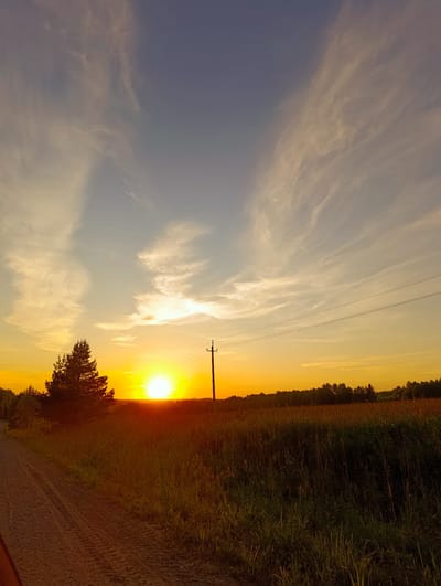 A wide-angle, eye-level shot captures a sunset over a rural landscape in Nekrasovo, Russia. The sun, a bright orb, is positioned just above the horizon, casting a warm, golden light across the scene. Wispy white clouds are scattered across the gradient sky, shifting from a deep blue at the top to a bright yellow and orange near the horizon.
In the foreground, a dirt road with visible tire tracks runs along the left side of the image. Adjacent to the road, a grassy field stretches out, filled with tall, dry grasses and some scattered green vegetation. To the left of the field, a solitary pine tree stands tall, silhouetted against the setting sun.
In the middle ground, a single utility pole with power lines crosses the frame horizontally, extending from right to left. Beyond the field, a dense line of dark trees forms the treeline, marking the edge of the cultivated area. The overall impression is one of tranquility and natural beauty, characteristic of a rural Russian sunset.