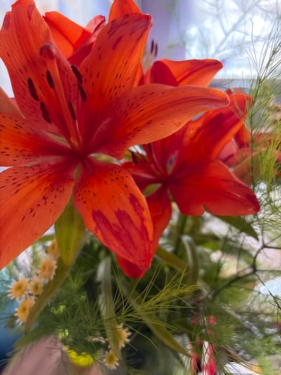 A close-up, eye-level shot features a bouquet of vibrant orange lilies. The lilies are the primary focus, with their petals detailed with dark spots and streaks. In the foreground, delicate green foliage and small white and yellow flowers add texture and contrast. The background is softly blurred, with hints of a light-colored window or curtain, suggesting an indoor setting. There are no people or animals visible in the image. The scene is still and peaceful. It is not possible to determine the location within the city of Субханкулово, Russia from the image alone.