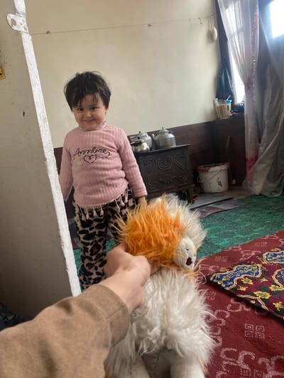 A small child in a pink shirt and leopard-print pants looks at the camera. A stuffed lion is held up by a hand wearing a light brown sweater. In the background, there is a stove, a bucket, and a rug with a floral pattern. The scene is indoors, and the image appears to be taken from a low angle.